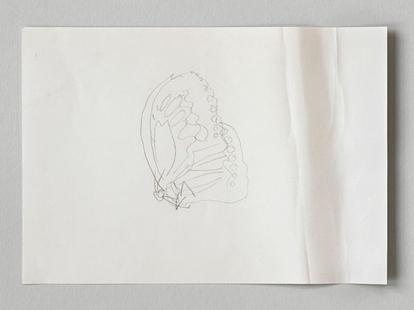 Photograph of a pencil sketch by Helen Murray of a butterfly on white paper on a grey background
