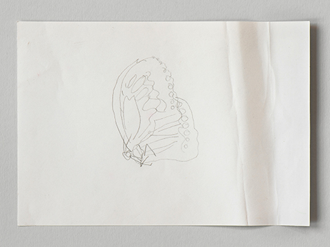 Photograph of a pencil sketch by Helen Murray of a butterfly on white paper on a grey background